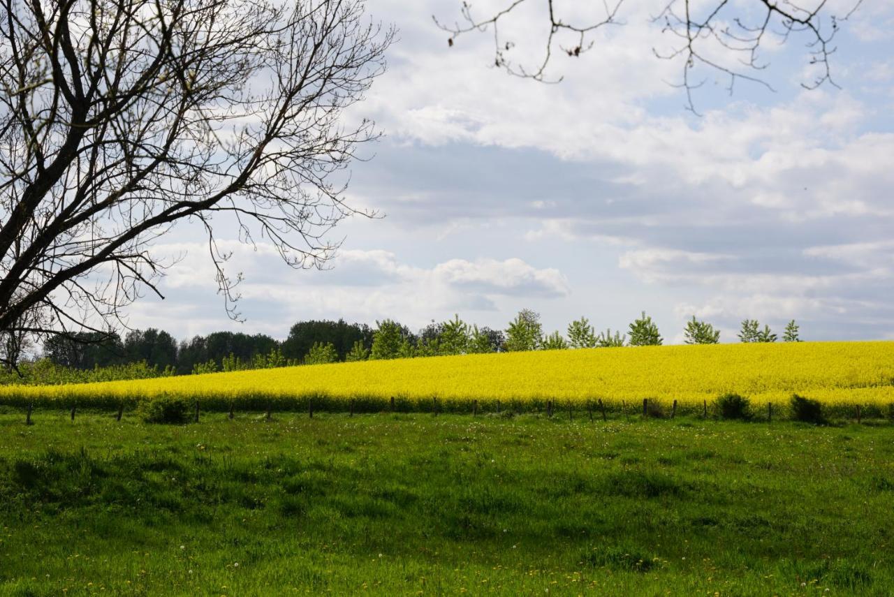 La Grange De Felicie Bed and Breakfast Charrey-sur-Saone Buitenkant foto