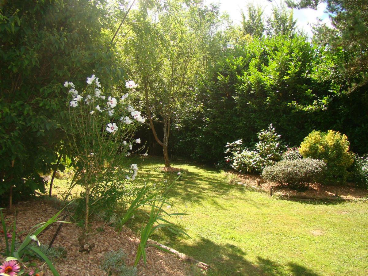 La Grange De Felicie Bed and Breakfast Charrey-sur-Saone Buitenkant foto